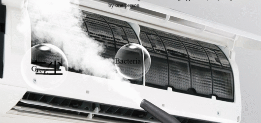 Essential Questions to Ask Before Hiring a Steam Cleaning Company
